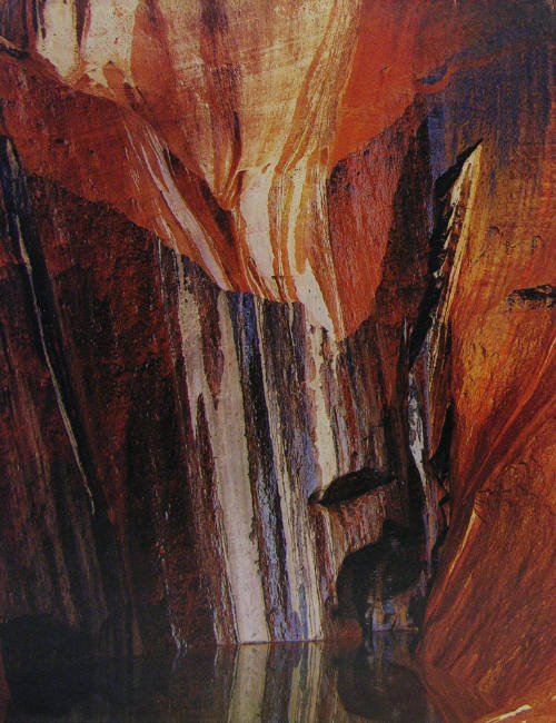 Eliot Porter, Water Streaked Wall, Warm Spring Canyon, Glen Canyon, Utah, 1965, dye transfer pr…
