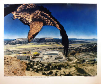 Golden Eagle, United Nuclear Corporation Uranium Mill and Trailing, Churchrock, New Mexico, (from the series Nuclear Enchantment)
