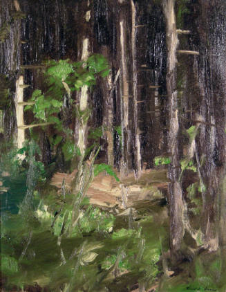 Sketch (Forest)