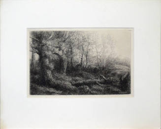 Untitled (Landscape with trees)