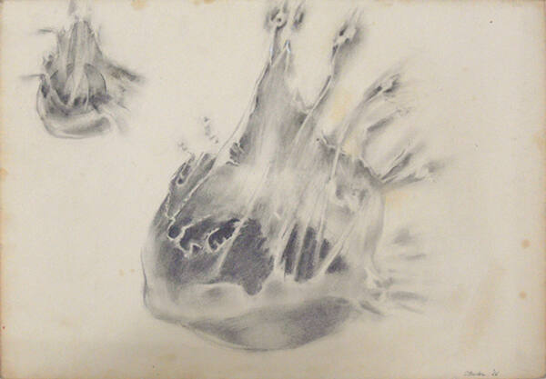 Drop of Water