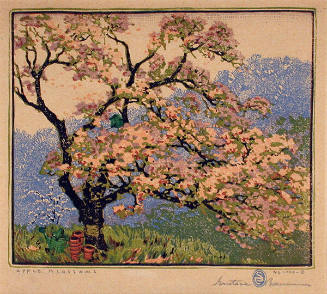 Apple Blossoms
