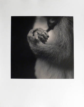 Fukunosuke's Hands