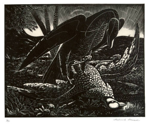 Roderick Mead