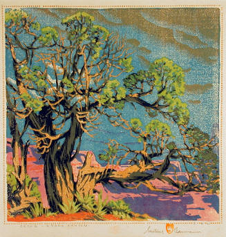 Cedar - Grand Cañon