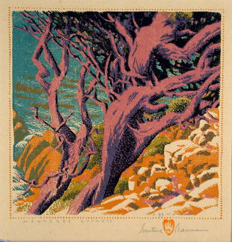 Gustave Baumann, Monterey Cypress, 1936, color woodcut, Image: 8 1/8 × 8 1/4 in. (20.6 × 21 cm)…