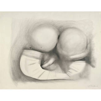 Erotic Series