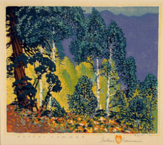 Aspen - Summer