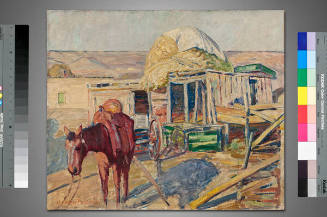 New Mexico Landscape