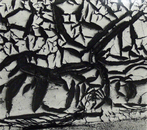 Untitled (Cracked paint)