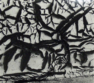 Untitled (Cracked paint)
