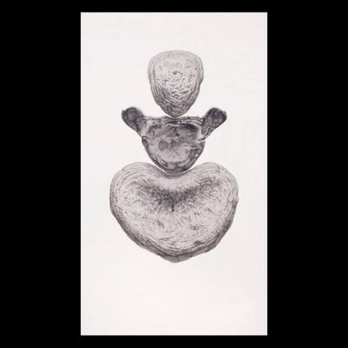 Untitled (from the Wikondiwin series)