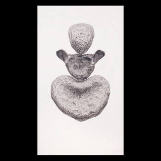 Untitled (from the Wikondiwin series)