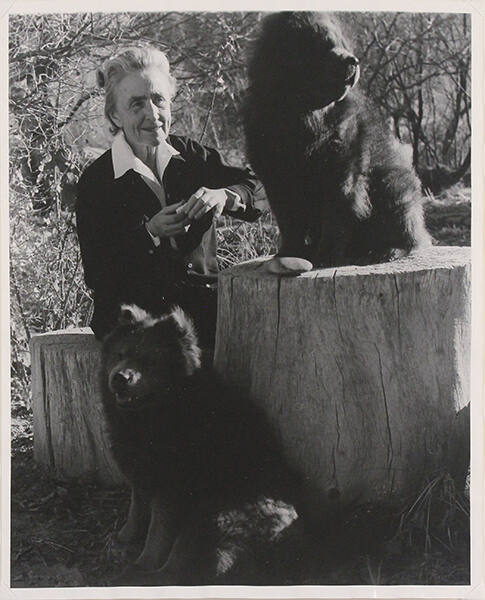 Untitled (Georgia O'Keeffe With Two Chow Dogs)