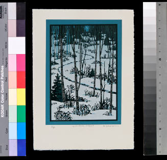 Winter Night (Holiday Card)