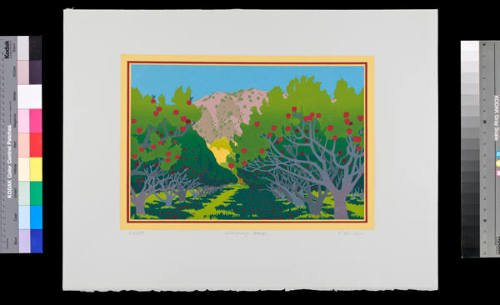 Chimayo Apples