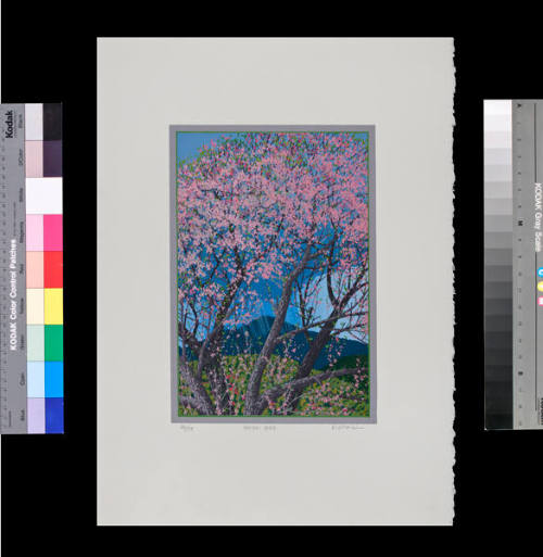 Spring Tree