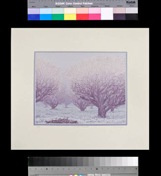 Winter Orchard