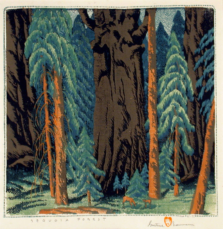 Sequoia Forest