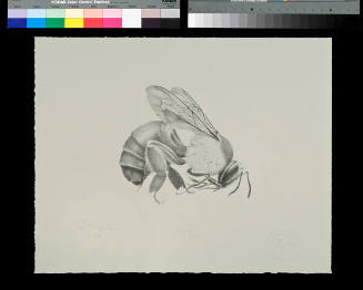 Glory bee!