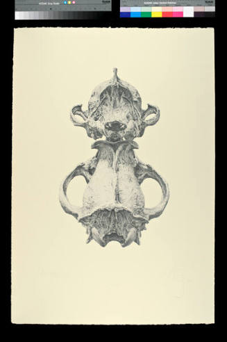 widi·gewin