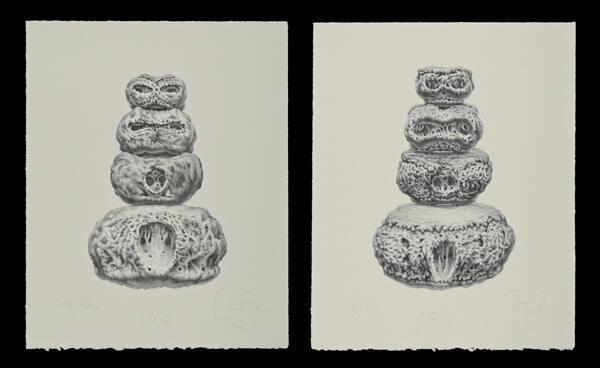 Inukshuk (angnak & angon)