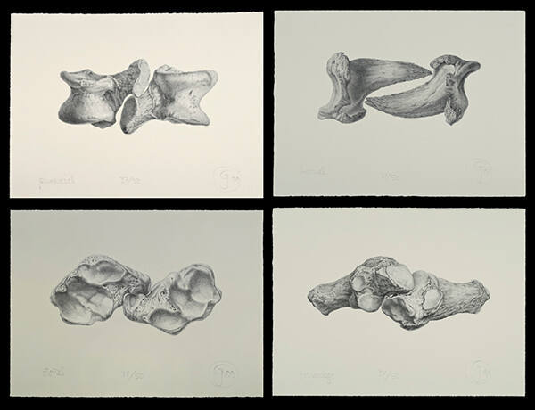 Seasons Suite (Primaveral, Veraniego, Otoñal, Invernal)