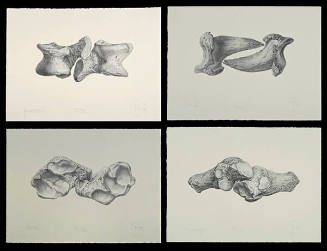 Seasons Suite (Primaveral, Veraniego, Otoñal, Invernal)