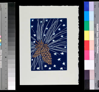 Untitled Holiday Card (Pinecones)