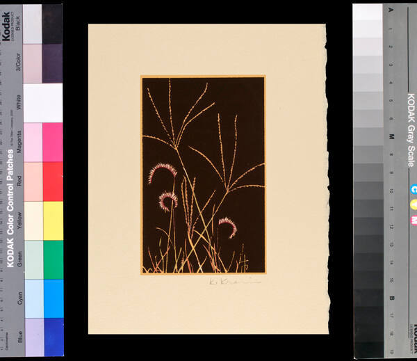 Untitled (Wheat)