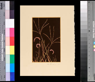 Untitled (Wheat)
