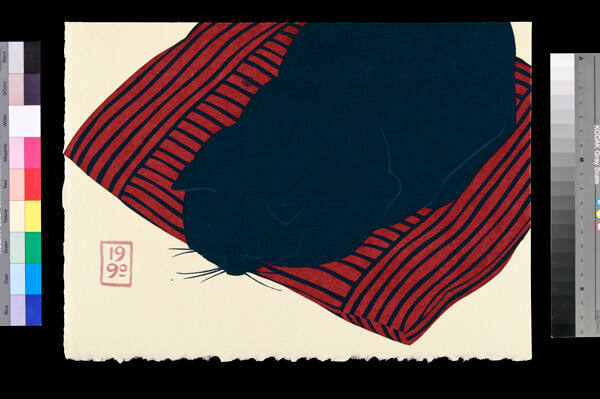Black Cat