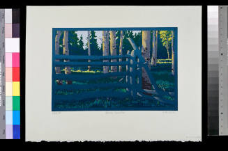 Blue Fence