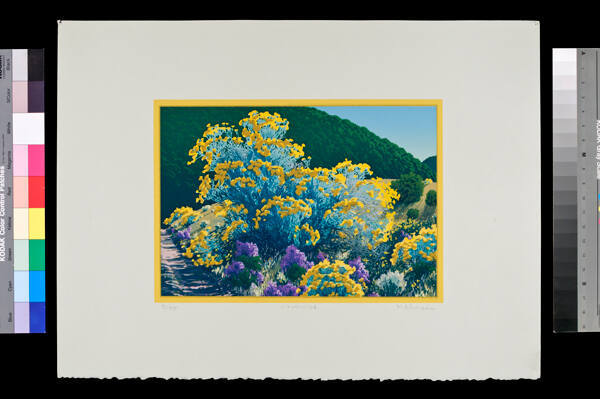 Kate Krasin, Chamisa, 1980, silkscreen, 6 1/4 × 8 7/8 in. Collection of the New Mexico Museum o…