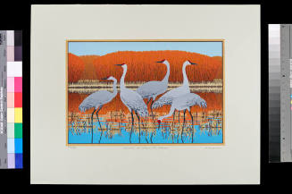 Cranes at Bosque del Apache