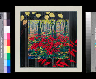 Scarlet Sumac