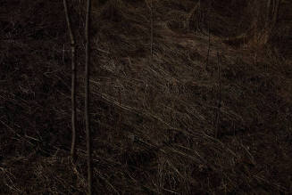 Goseong Choi