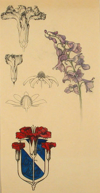 Untitled (Flower Studies)