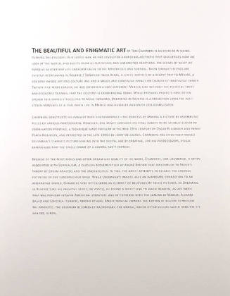 Text Page 1 (from Dreaming in Reverse/Soñando Hacia Atrás)