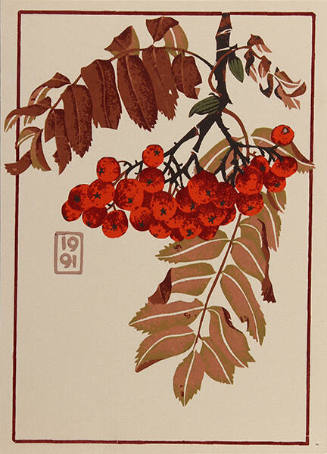 Mountain Ash (Holiday Card)