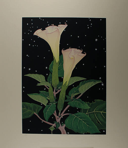 Kate Krasin, Datura, 1990, silkscreen, 17 7/16 x 12 5/8 in. Collection of the New Mexico Museum…