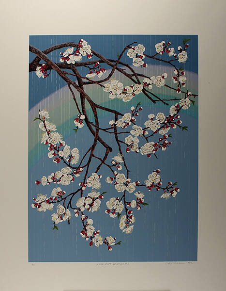 Apricot Blossoms