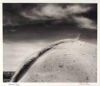 Raymond Belcher, Mare’s Tale, 1985 (printed 2005), gelatin silver print, 10 1/8 x 12 1/8 in. Co…