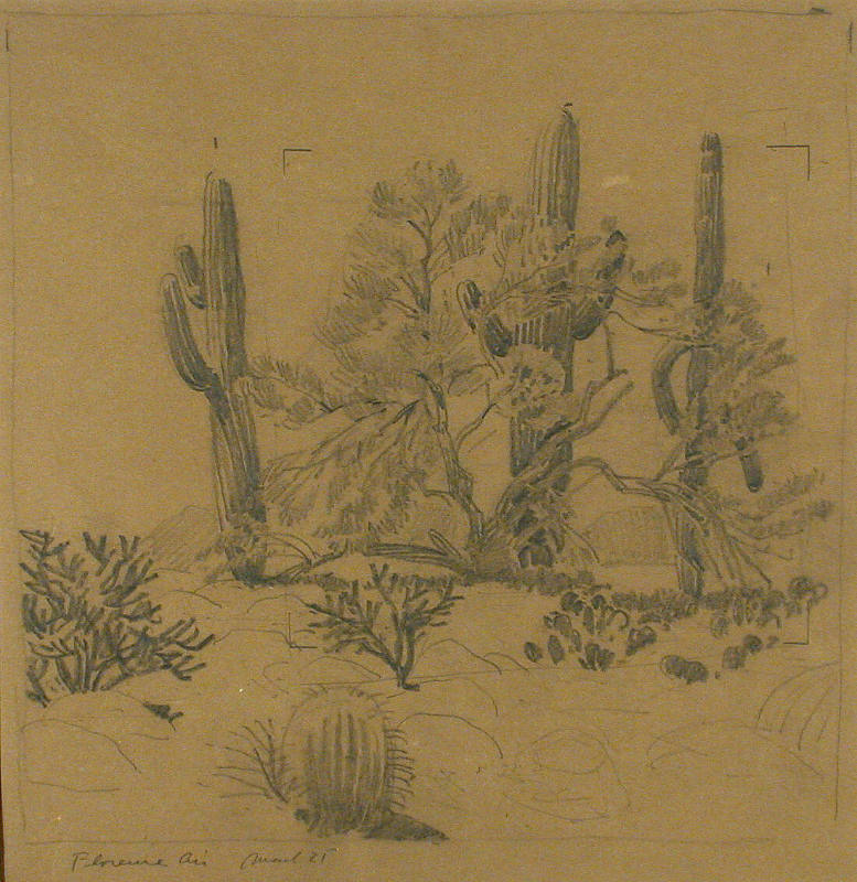 Cholla and Sahuaro (sketch)