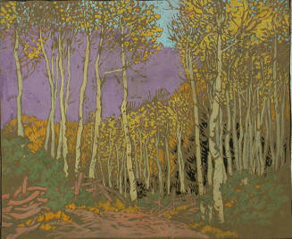 Aspen Red River (study)