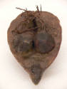 Top View