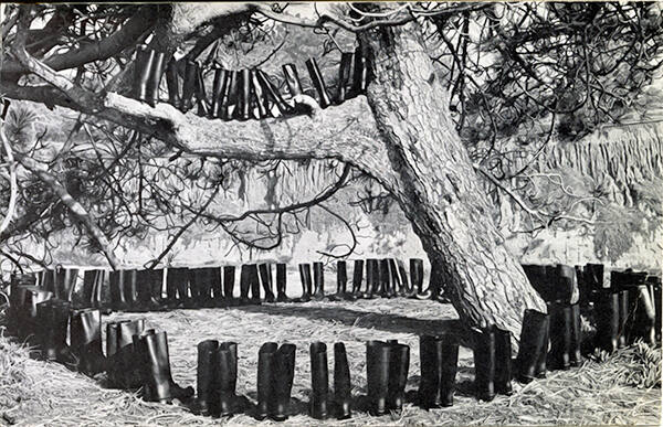 100 Boots In A Field (Route 101, California)