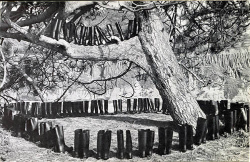 100 Boots In A Field (Route 101, California)