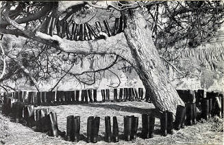 100 Boots In A Field (Route 101, California)