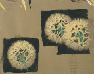 Tares (study)